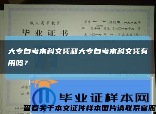 大专自考本科文凭和大专自考本科文凭有用吗？缩略图
