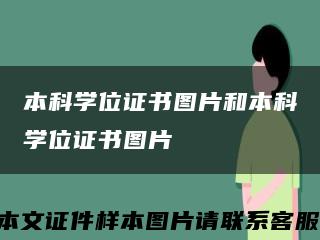 本科学位证书图片和本科学位证书图片缩略图