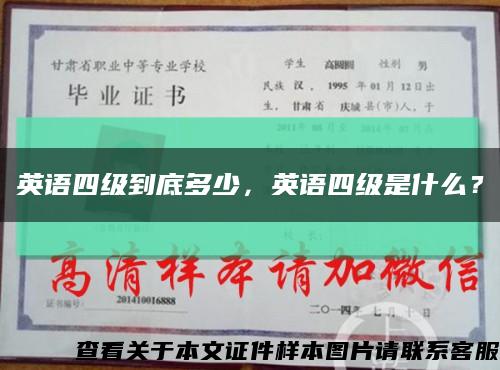 英语四级到底多少，英语四级是什么？缩略图