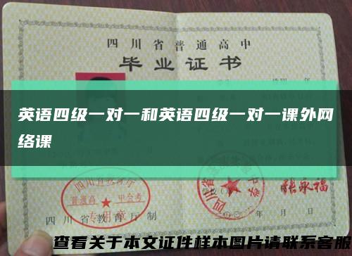 英语四级一对一和英语四级一对一课外网络课缩略图