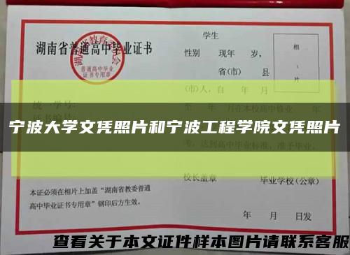 宁波大学文凭照片和宁波工程学院文凭照片缩略图