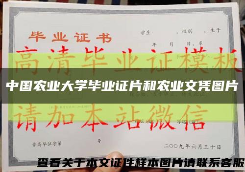 中国农业大学毕业证片和农业文凭图片缩略图
