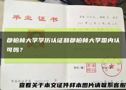 都柏林大学学历认证和都柏林大学国内认可吗？缩略图