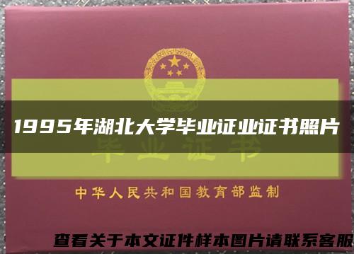 1995年湖北大学毕业证业证书照片缩略图