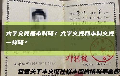 大学文凭是本科吗？大学文凭和本科文凭一样吗？缩略图