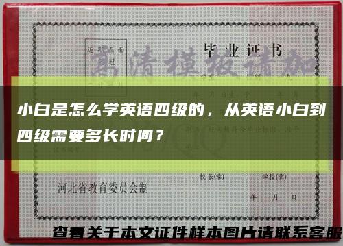 小白是怎么学英语四级的，从英语小白到四级需要多长时间？缩略图