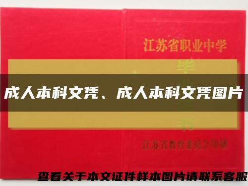 成人本科文凭、成人本科文凭图片缩略图