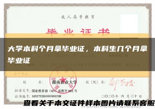 大学本科个月拿毕业证，本科生几个月拿毕业证缩略图