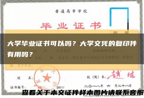 大学毕业证书可以吗？大学文凭的复印件有用吗？缩略图