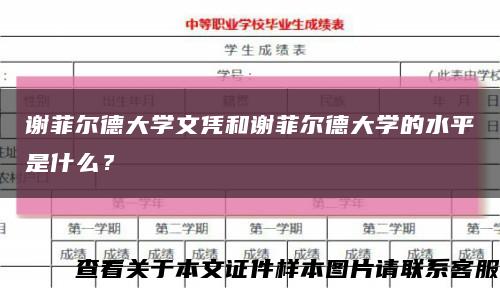 谢菲尔德大学文凭和谢菲尔德大学的水平是什么？缩略图