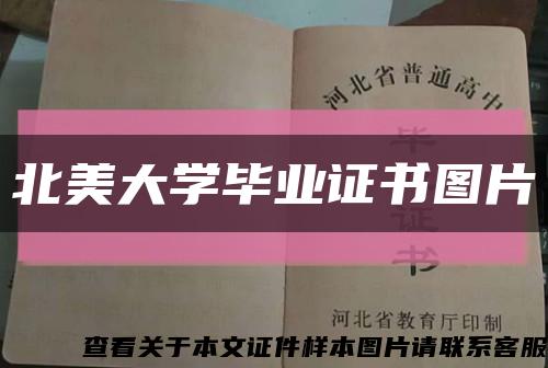 北美大学毕业证书图片缩略图