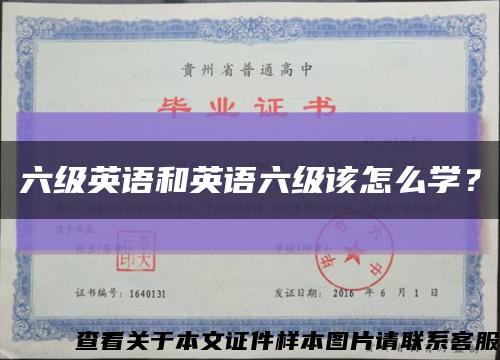 六级英语和英语六级该怎么学？缩略图