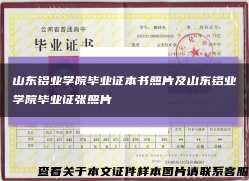 山东铝业学院毕业证本书照片及山东铝业学院毕业证张照片缩略图