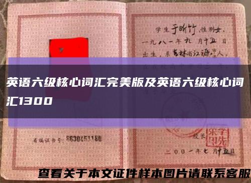 英语六级核心词汇完美版及英语六级核心词汇1300缩略图