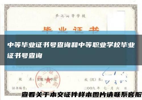 中等毕业证书号查询和中等职业学校毕业证书号查询缩略图