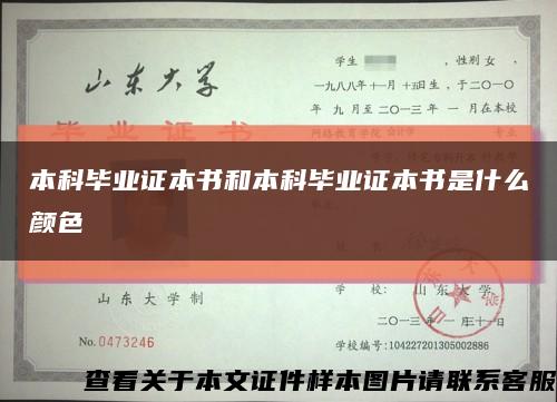 本科毕业证本书和本科毕业证本书是什么颜色缩略图