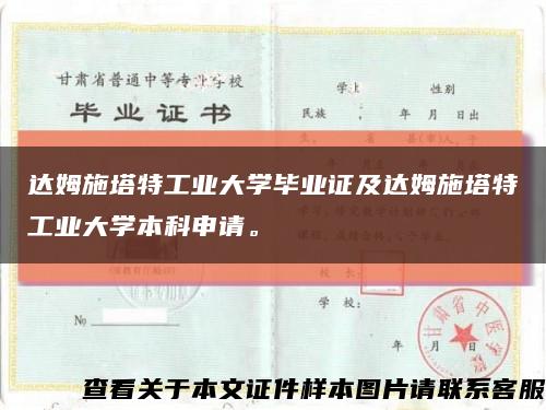 达姆施塔特工业大学毕业证及达姆施塔特工业大学本科申请。缩略图