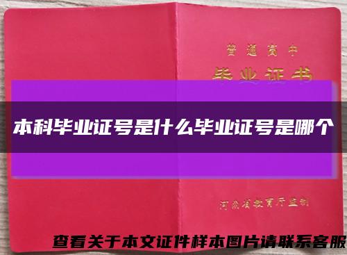 本科毕业证号是什么毕业证号是哪个缩略图