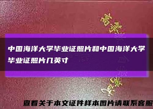 中国海洋大学毕业证照片和中国海洋大学毕业证照片几英寸缩略图
