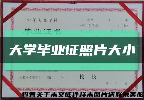 大学毕业证照片大小缩略图