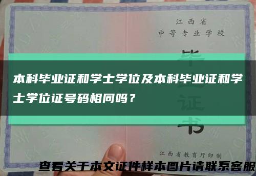 本科毕业证和学士学位及本科毕业证和学士学位证号码相同吗？缩略图