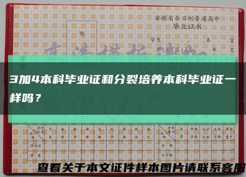 3加4本科毕业证和分裂培养本科毕业证一样吗？缩略图