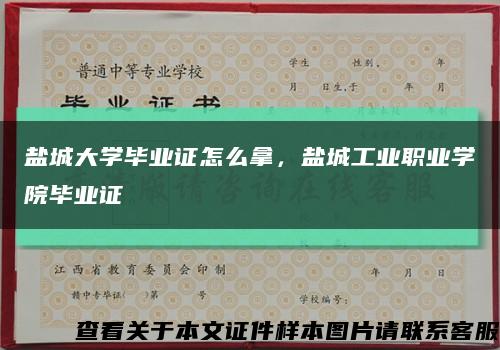 盐城大学毕业证怎么拿，盐城工业职业学院毕业证缩略图