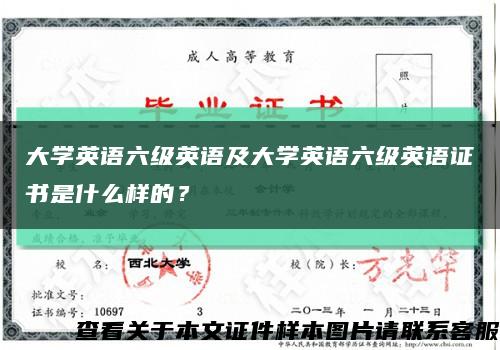 大学英语六级英语及大学英语六级英语证书是什么样的？缩略图