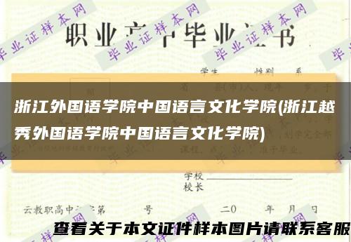 浙江外国语学院中国语言文化学院(浙江越秀外国语学院中国语言文化学院)缩略图