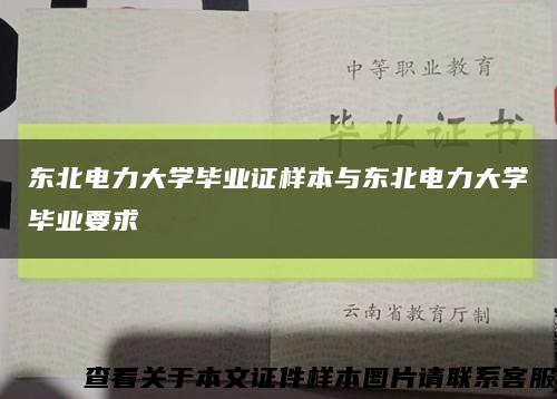 东北电力大学毕业证样本与东北电力大学毕业要求缩略图