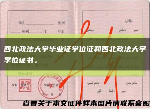西北政法大学毕业证学位证和西北政法大学学位证书。缩略图