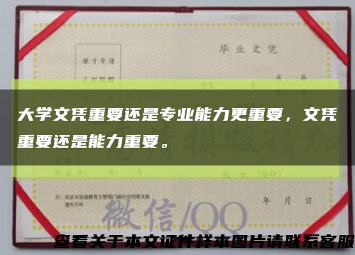 大学文凭重要还是专业能力更重要，文凭重要还是能力重要。缩略图