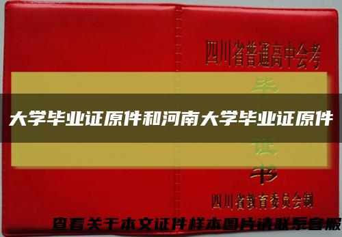 大学毕业证原件和河南大学毕业证原件缩略图