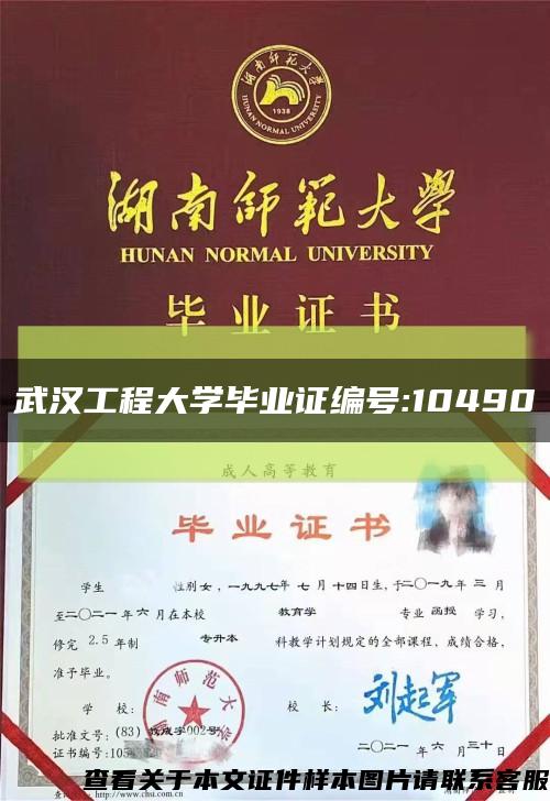 武汉工程大学毕业证编号:10490缩略图