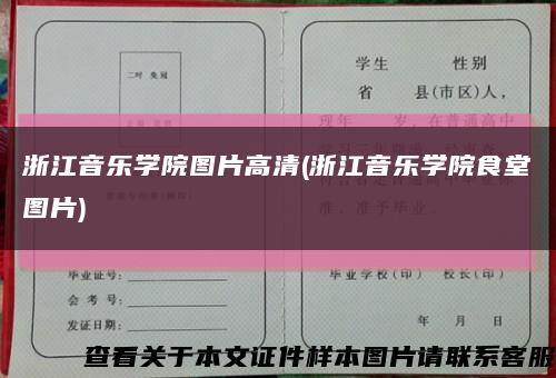 浙江音乐学院图片高清(浙江音乐学院食堂图片)缩略图