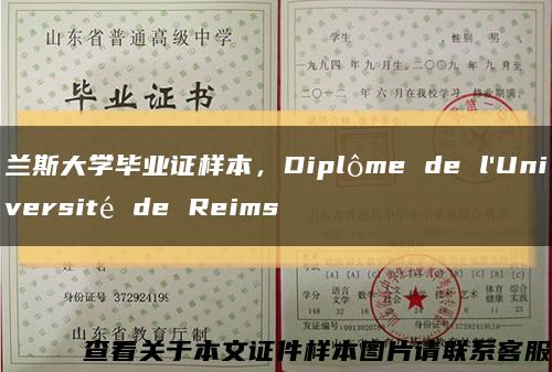 兰斯大学毕业证样本，Diplôme de l'Université de Reims缩略图