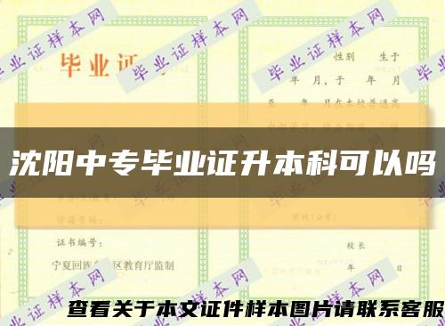 沈阳中专毕业证升本科可以吗缩略图