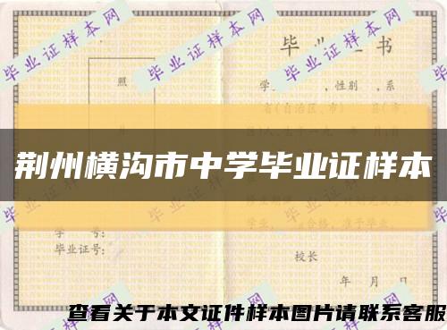 荆州横沟市中学毕业证样本缩略图