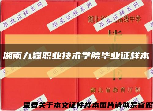 湖南九嶷职业技术学院毕业证样本缩略图