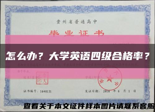 怎么办？大学英语四级合格率？缩略图