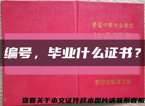 编号，毕业什么证书？缩略图