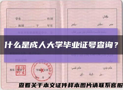 什么是成人大学毕业证号查询？缩略图