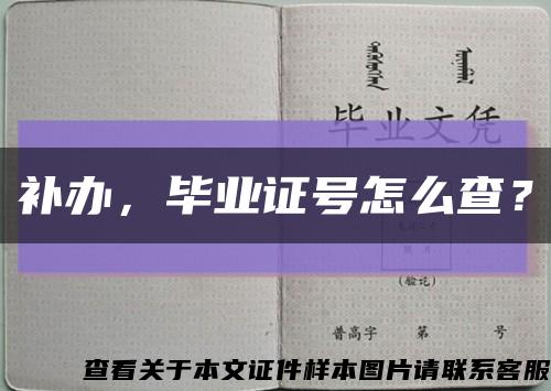 补办，毕业证号怎么查？缩略图