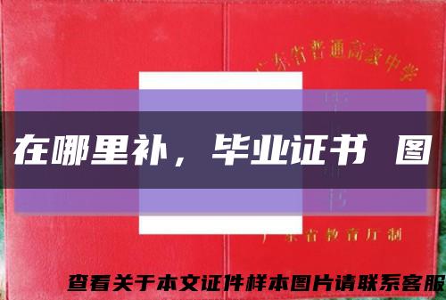 在哪里补，毕业证书 图缩略图