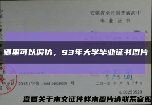 哪里可以假仿，93年大学毕业证书图片缩略图
