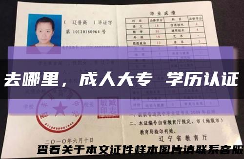 去哪里，成人大专 学历认证缩略图