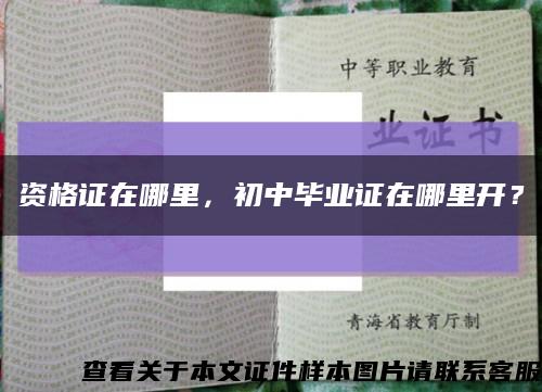 资格证在哪里，初中毕业证在哪里开？缩略图