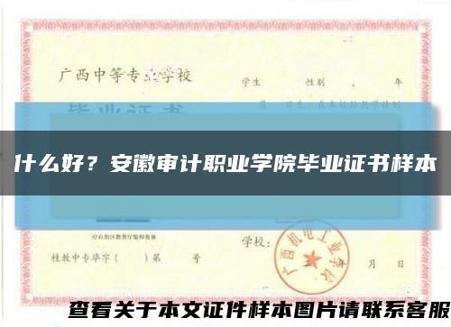 什么好？安徽审计职业学院毕业证书样本缩略图