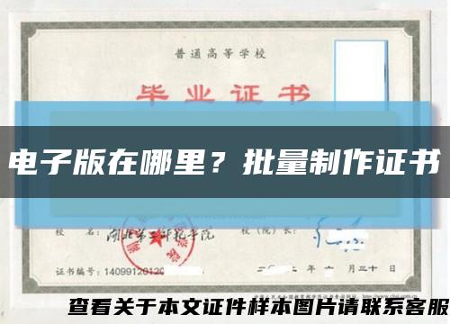 电子版在哪里？批量制作证书缩略图