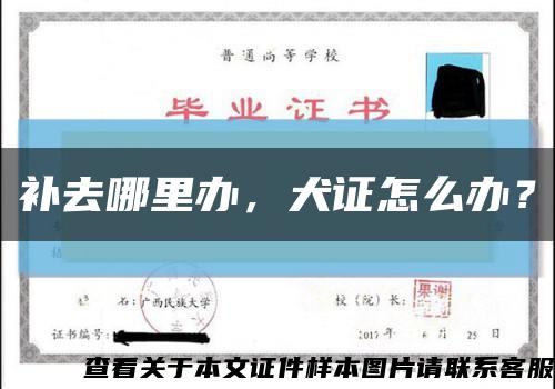 补去哪里办，犬证怎么办？缩略图